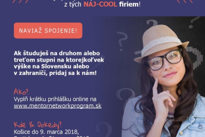 MENTOR NETWORK PROGRAM