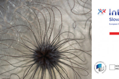 SEED-Hub projekt začína